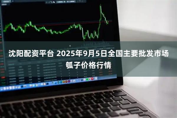 沈阳配资平台 2025年9月5日全国主要批发市场瓠子价格行情
